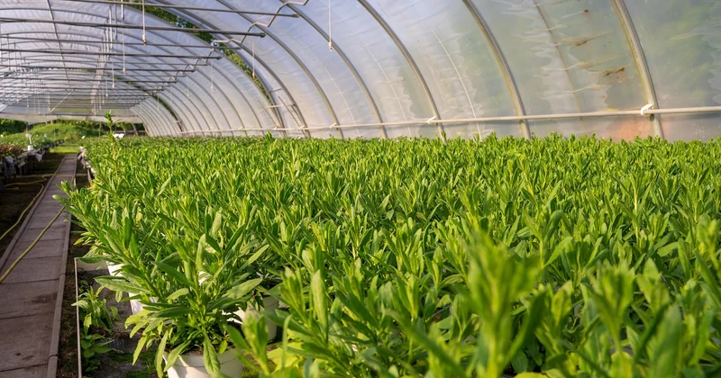Les obligations environnementales : le nouveau terrain miné