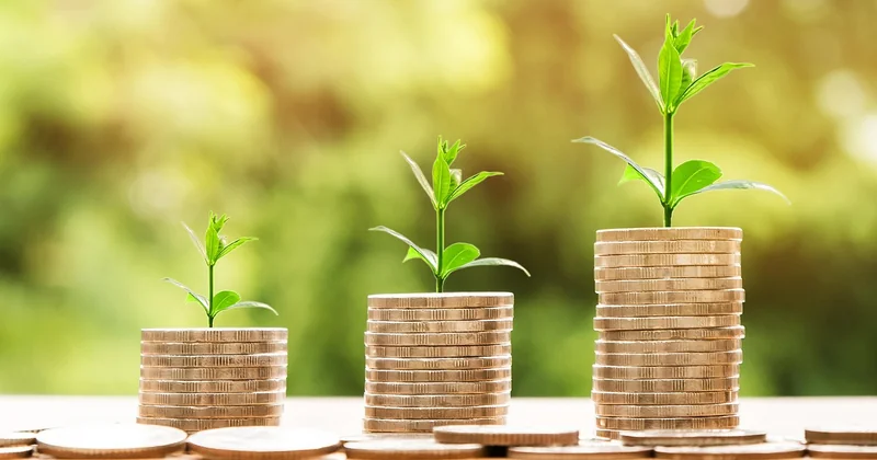 Croissance interne ou externe : le choix structurant